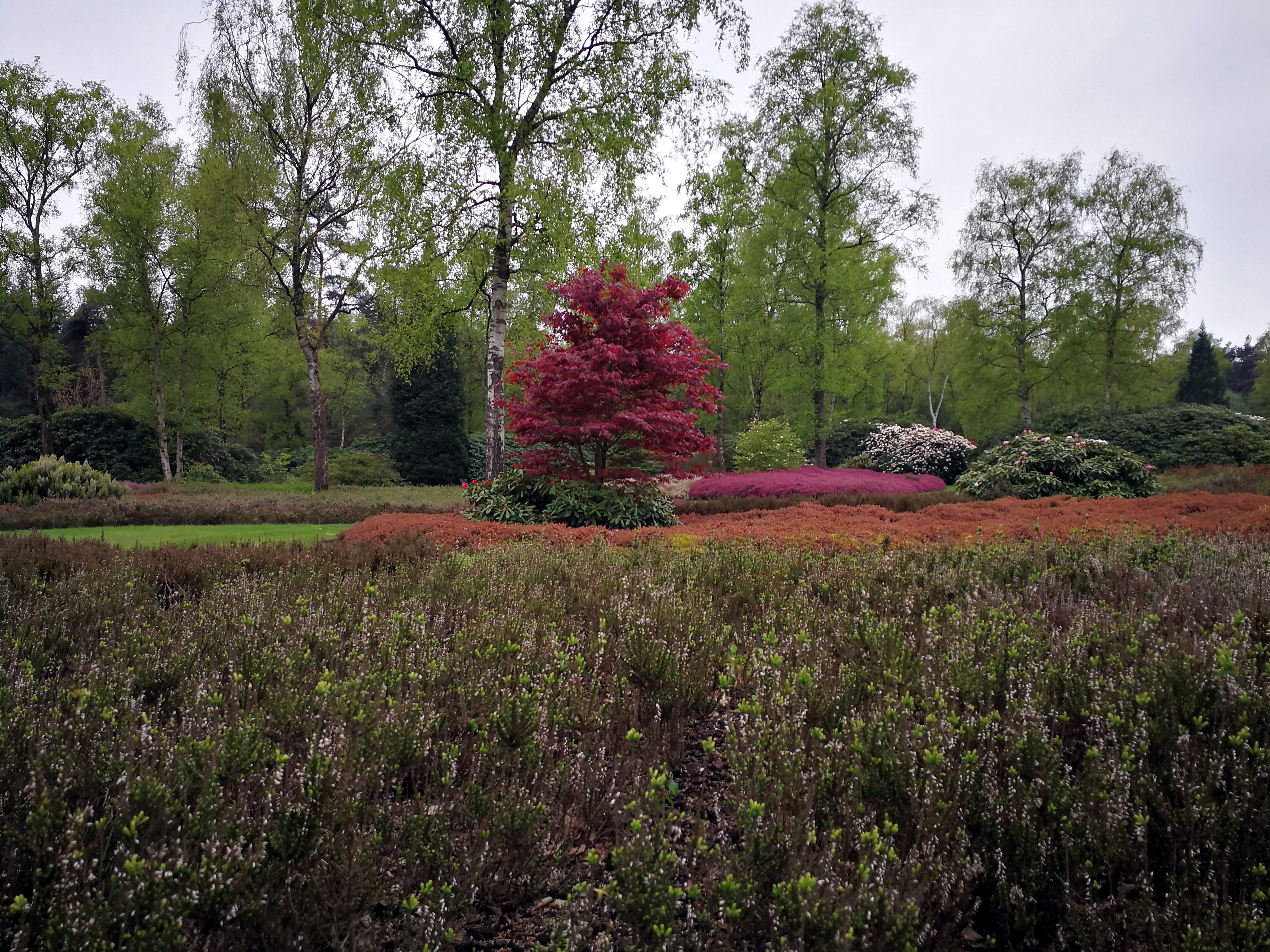 01 Holten 5 mei 2017